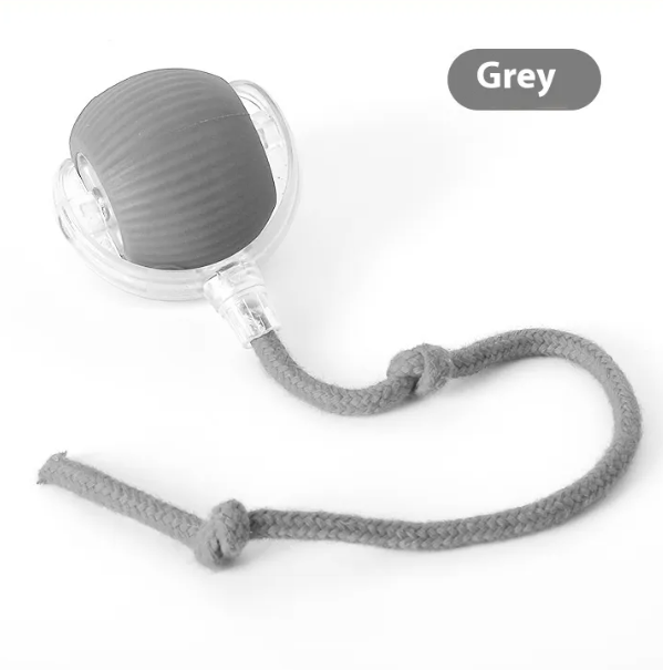 Super Rolling Cat Toy Ball