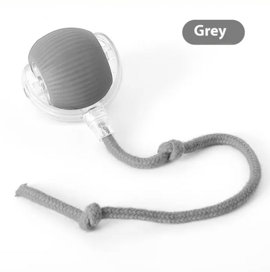 Super Rolling Cat Toy Ball
